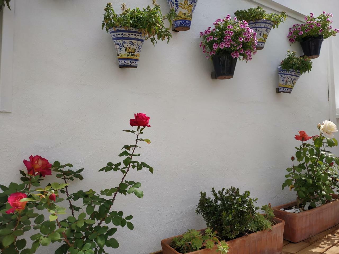 Hostal Esencia De Azahar - Cordoba — Photos 2